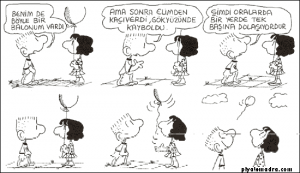 resim1