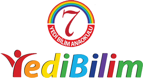 yedibilim